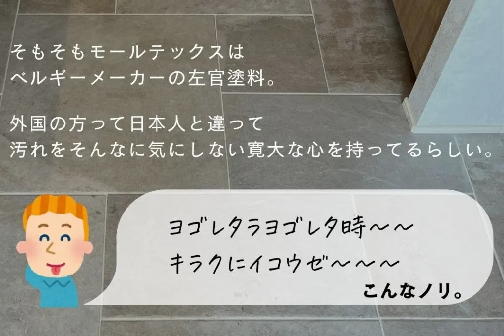モールテックスの発祥はベルギー