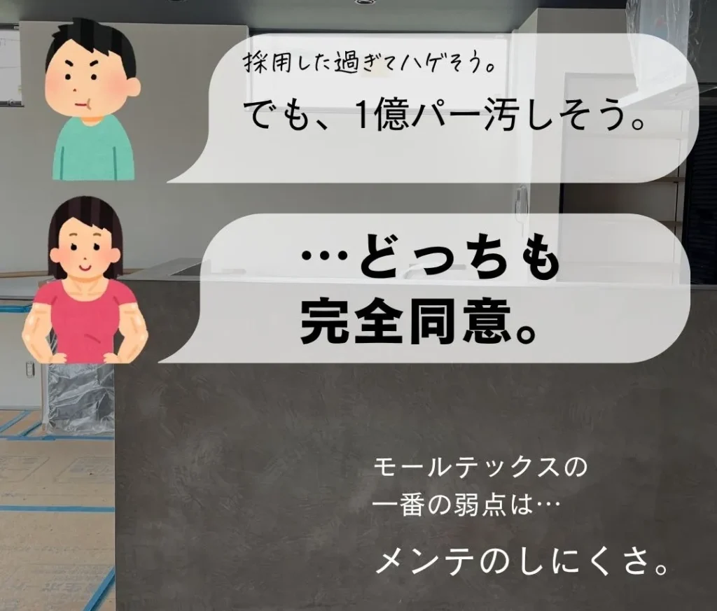 モールテックスの最大のデメリットはメンテナンスのしにくさ